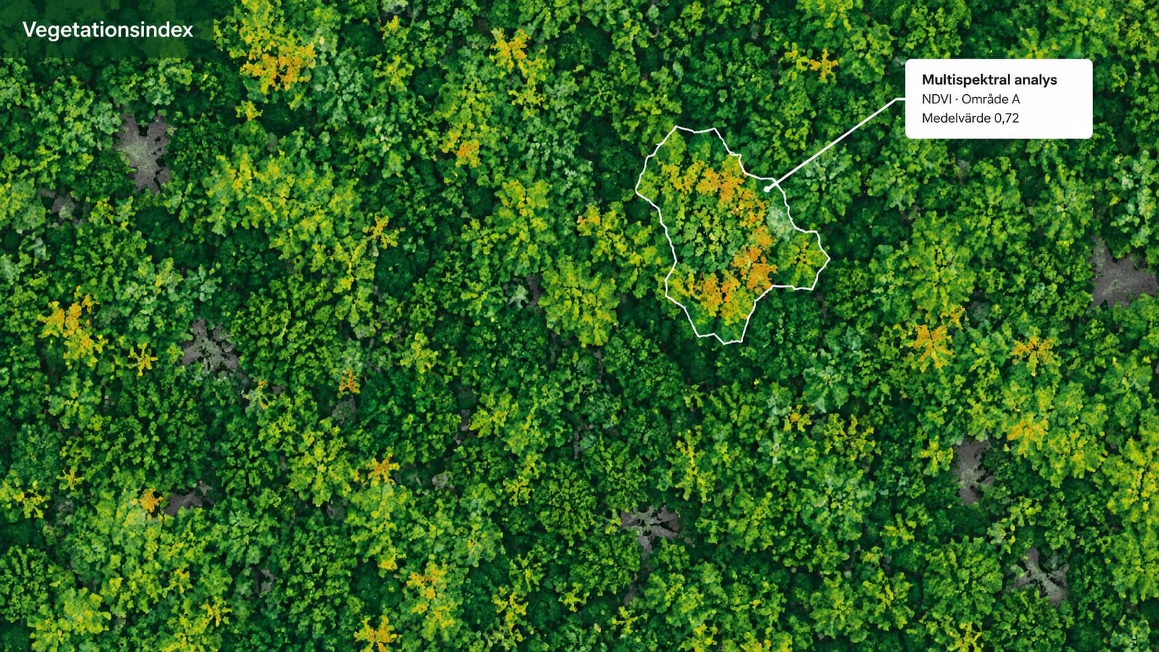 Vegetationskarta med markerat område och ett NDVI-medelvärde