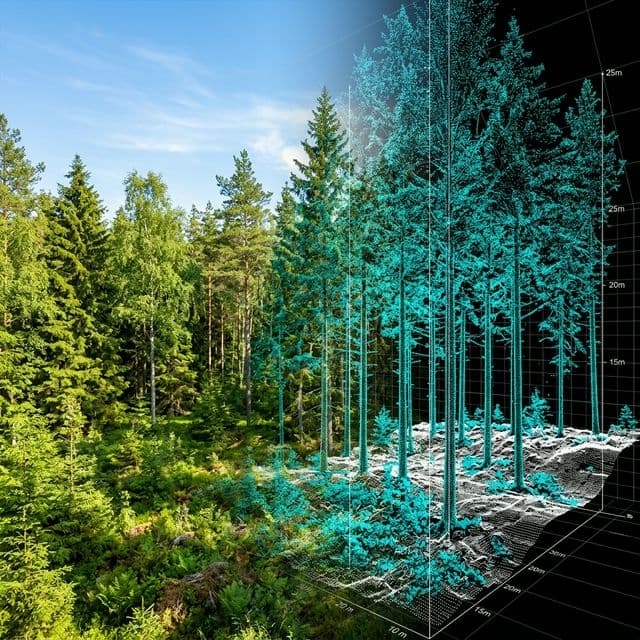 Höjddata och punktmoln över skog, visualiserad ur egen flygning